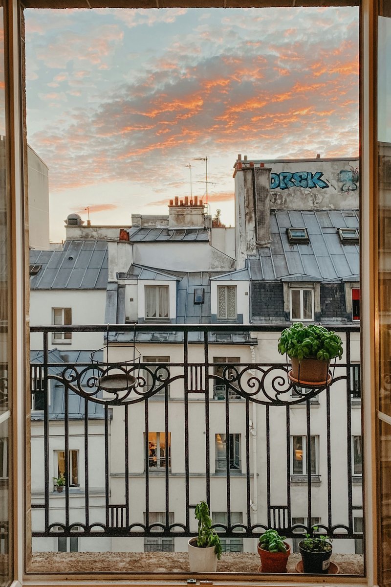 Fenêtre ouverte sur les toits de Paris et un balcon fleuri au soir