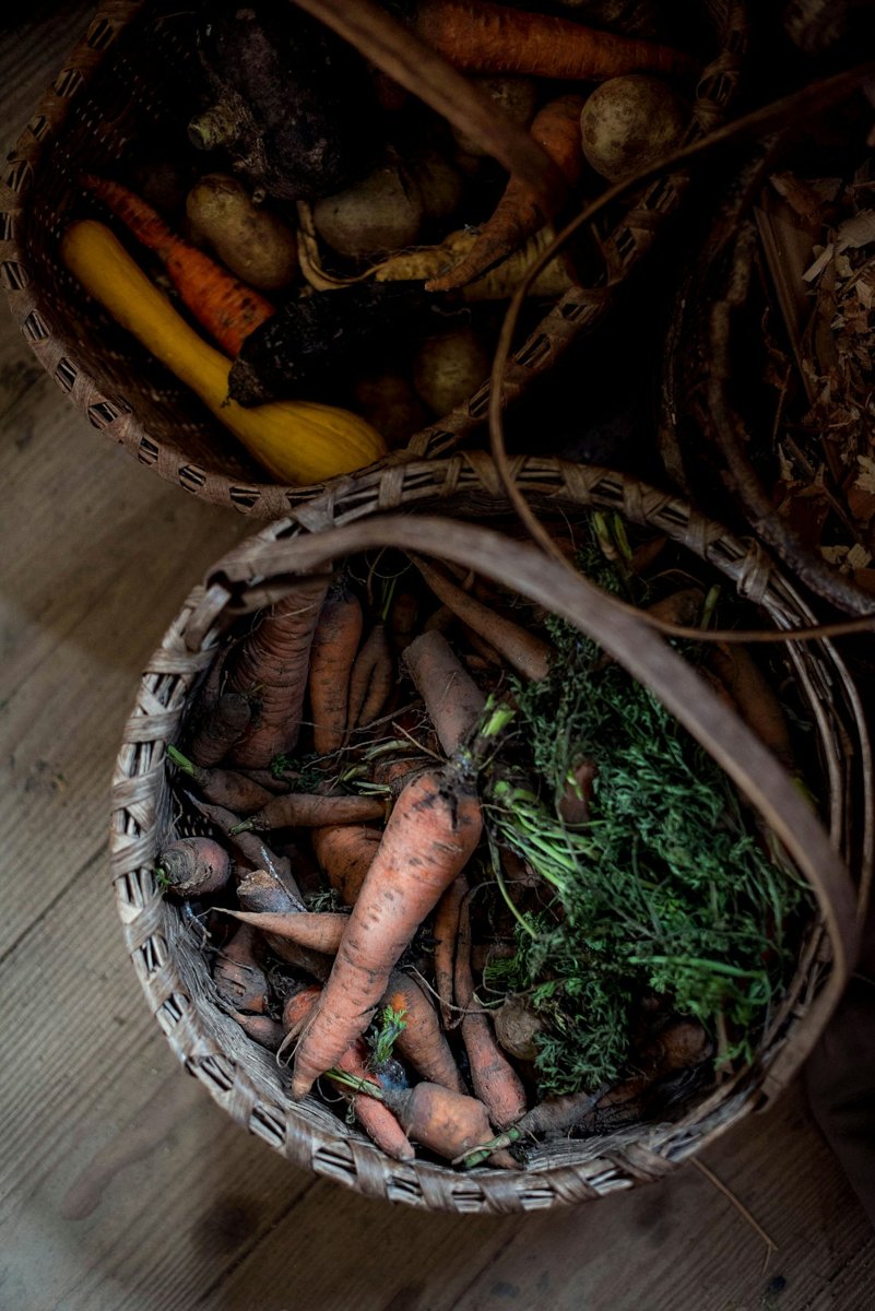 Panier de carottes et légumes racines sur une table de cuisine